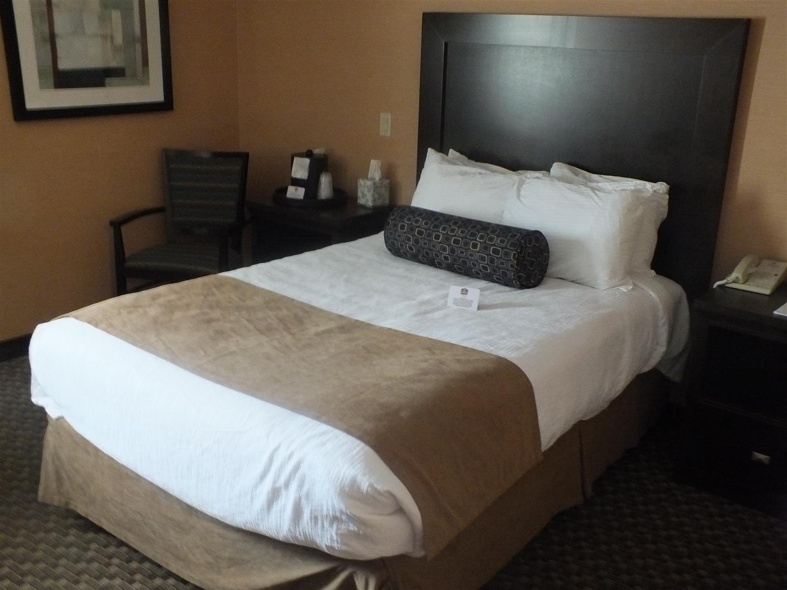 Best Western Plus Dryden Hotel And Conference Centre Extérieur photo